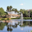 Apartments East Lake Oldsmar